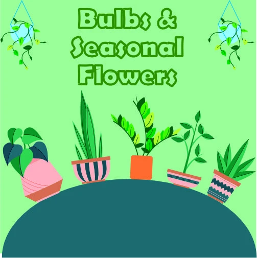 Bulbs & Seasonal Flowers
