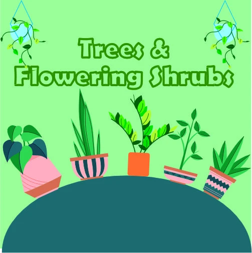 Flowering Shrubs & Trees