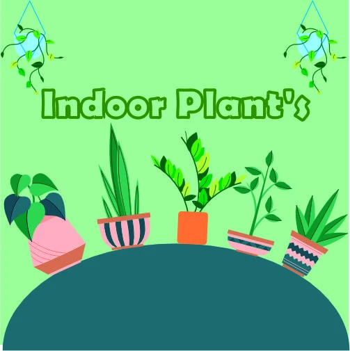 Indoor Plants